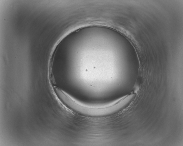 X0000072491520200608111549