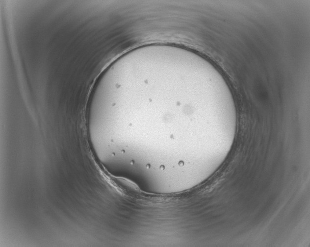 X0000072491521200608111549