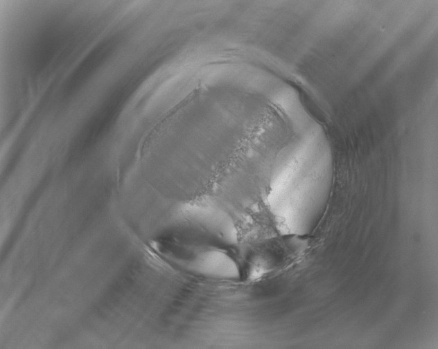 X0000072491522200608111549