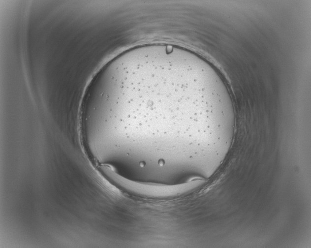 X0000072491525200608111549