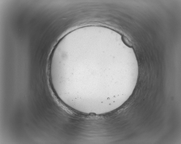 X0000072491526200608111549