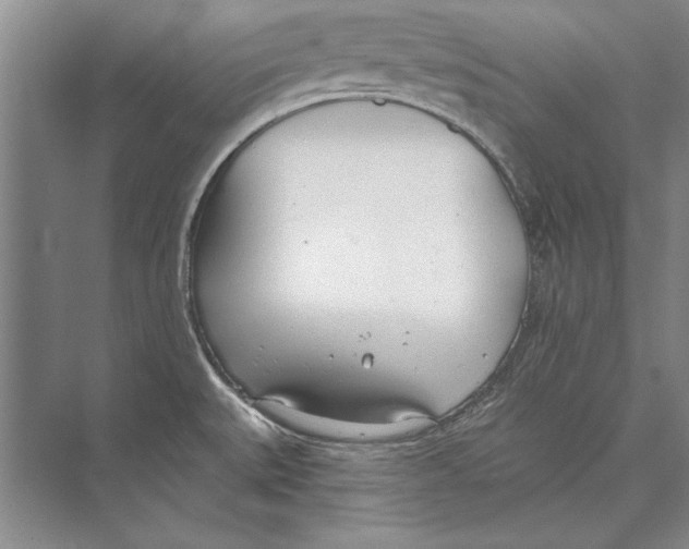 X0000072491527200608111549