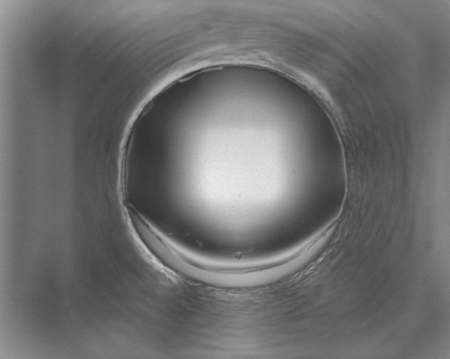 X0000072491528200608111549