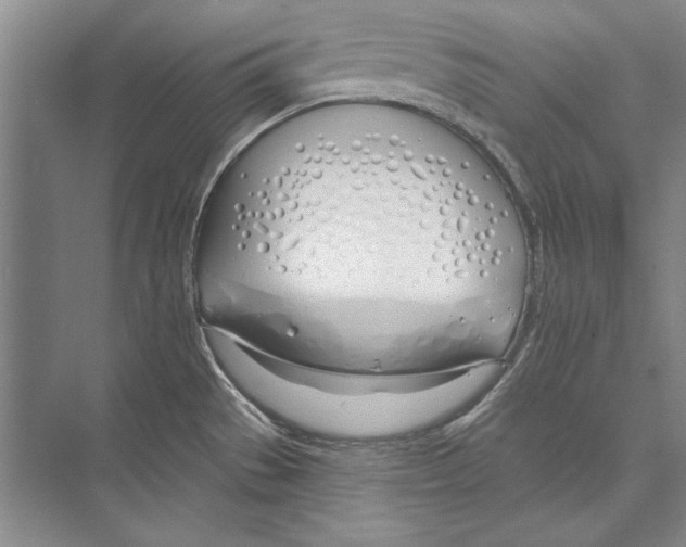 X0000072491529200608111549