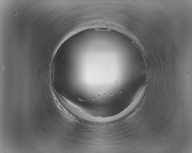 X0000072491530200608111549