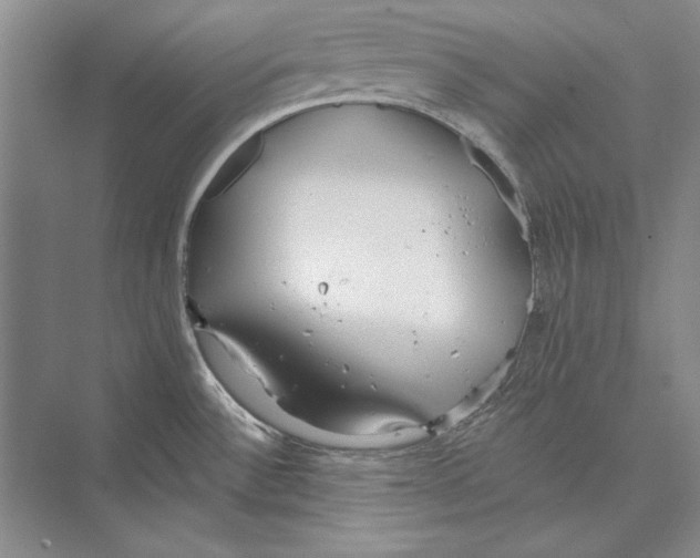 X0000072491532200608111549