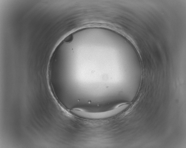 X0000072491533200608111549