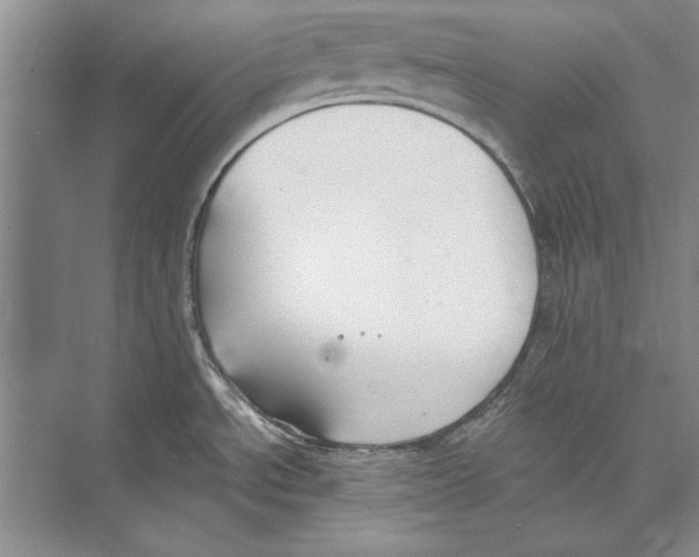 X0000072491534200608111549