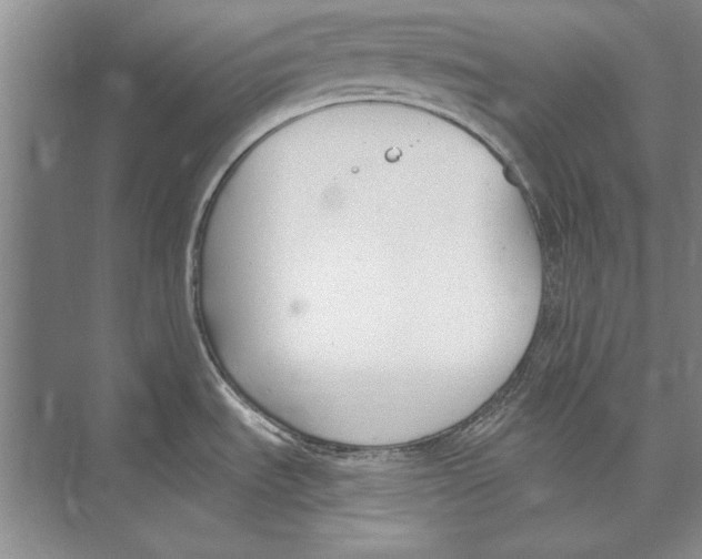 X0000072491535200608111549