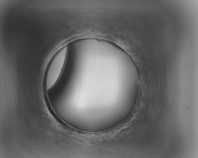 X0000072500007200607140948