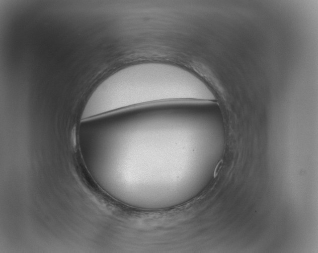 X0000072500021200607140948