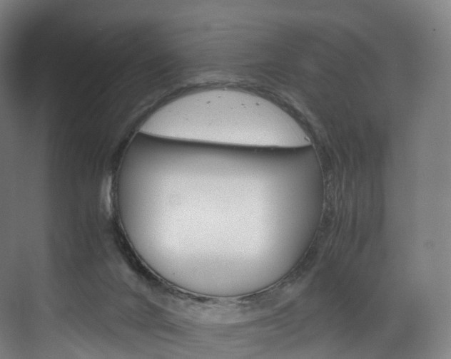 X0000072500024200607140948
