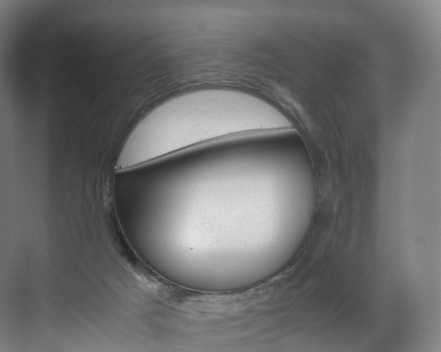 X0000072500025200607140948