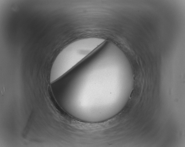 X0000072500031200607140948