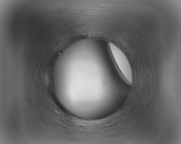 X0000072500039200607140947