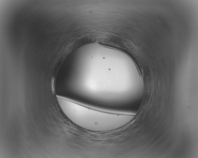 X0000072500041200607140947