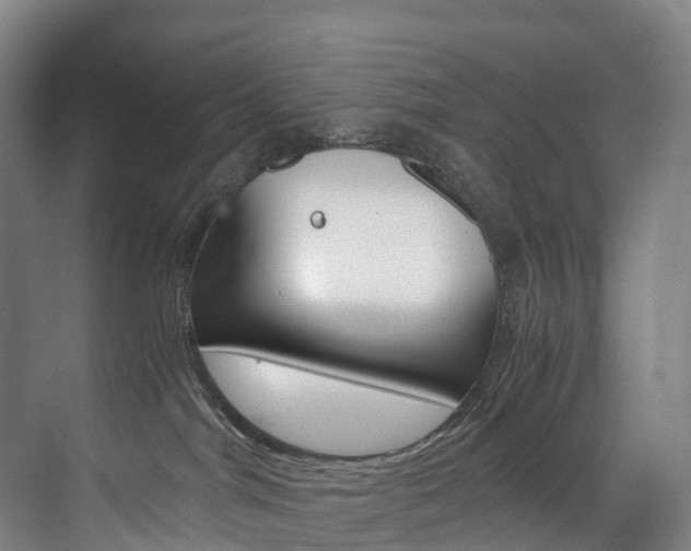 X0000072500044200607140947