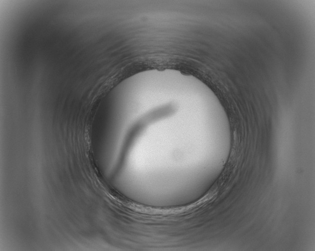 X0000072500048200607140947