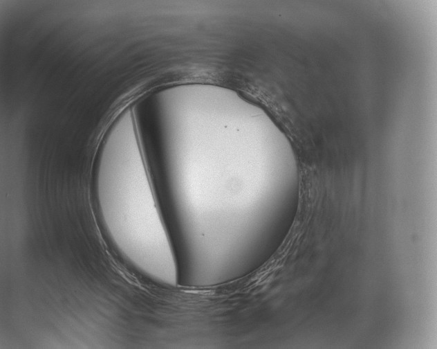 X0000072500051200607140947