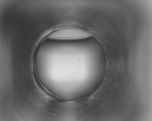 X0000072500054200607140947