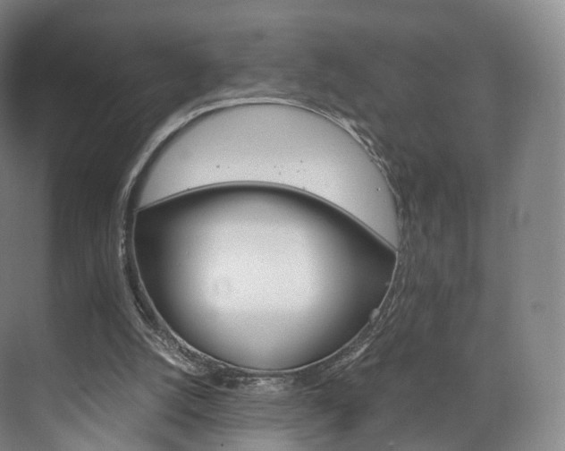 X0000072500056200607140947