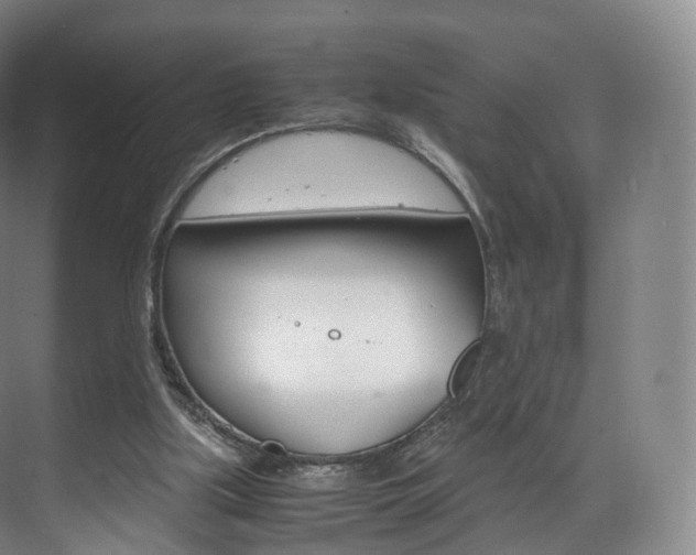 X0000072500059200607140947