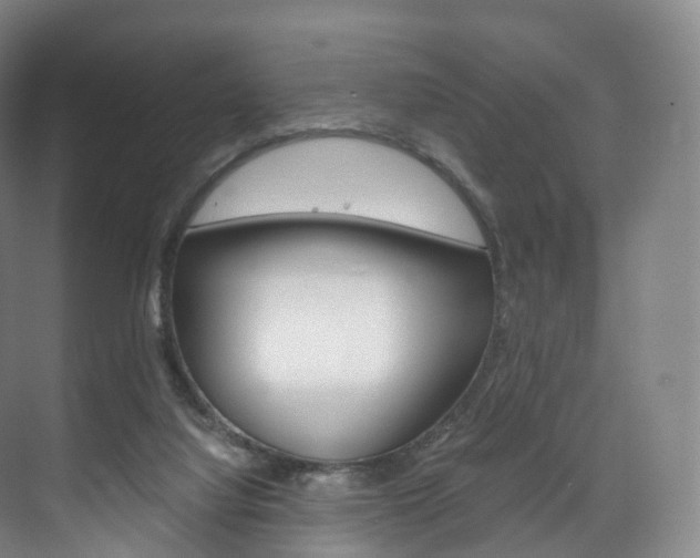 X0000072500068200607140947