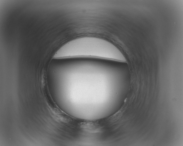X0000072500074200607140947