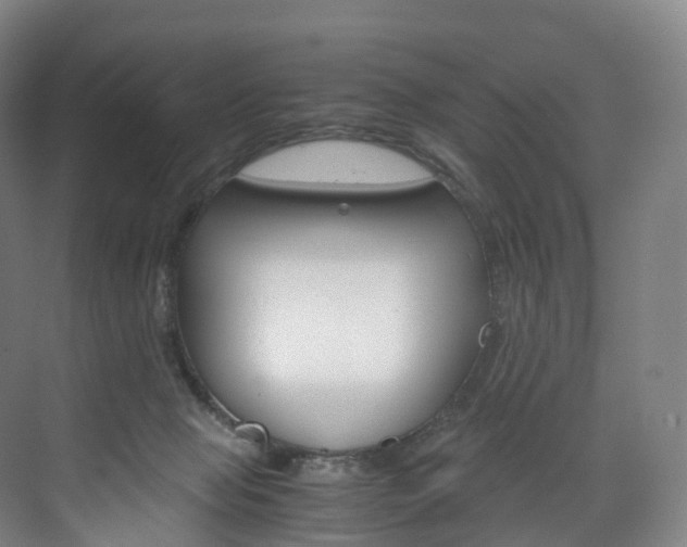 X0000072500077200607140947
