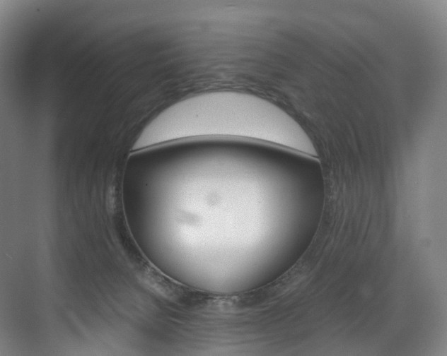 X0000072500080200607140947