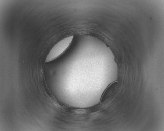 X0000072500085200607140947
