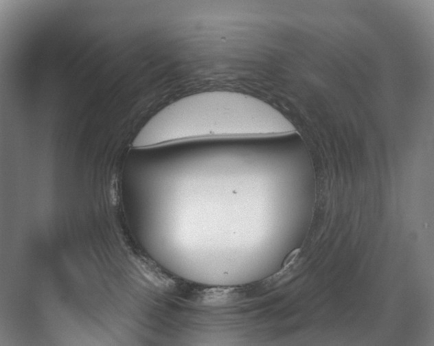 X0000072500090200607140947