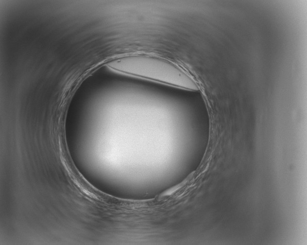 X0000072500097200607140946