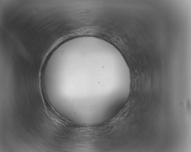 X0000072500100200607140946