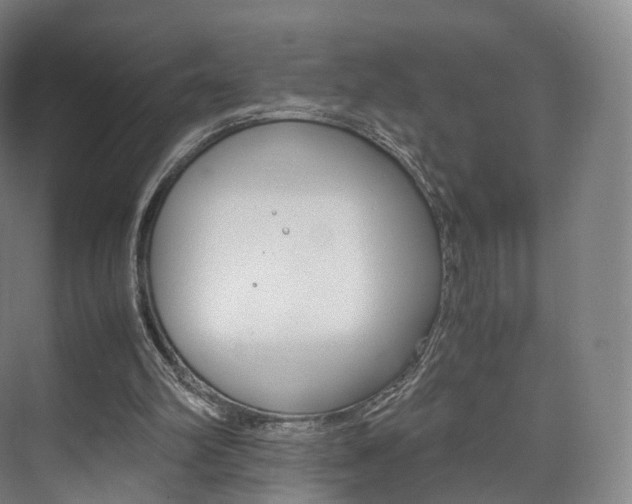 X0000072500102200607140946