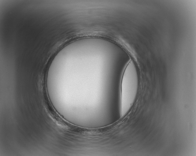 X0000072500107200607140946