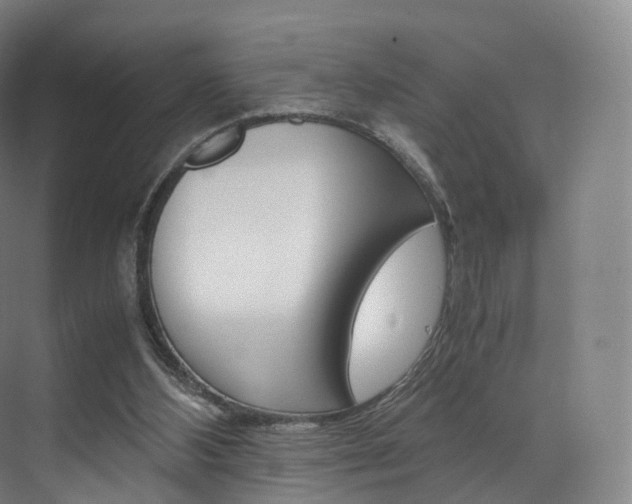 X0000072500108200607140946