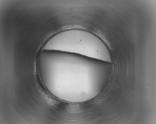 X0000072500110200607140946