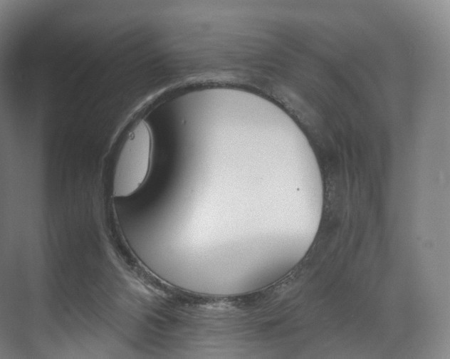 X0000072500112200607140946