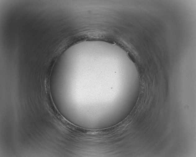 X0000072500117200607140946