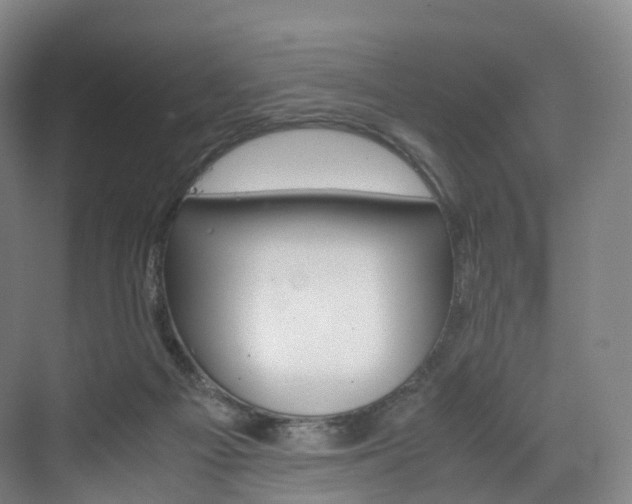 X0000072500121200607140946