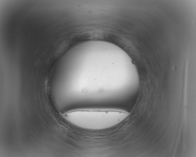 X0000072500123200607140946