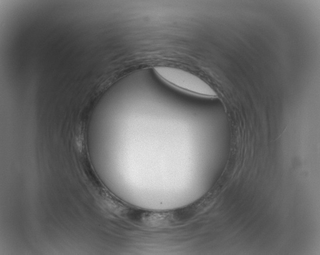 X0000072500129200607140946