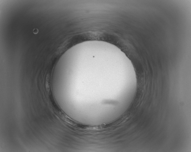 X0000072500131200607140946