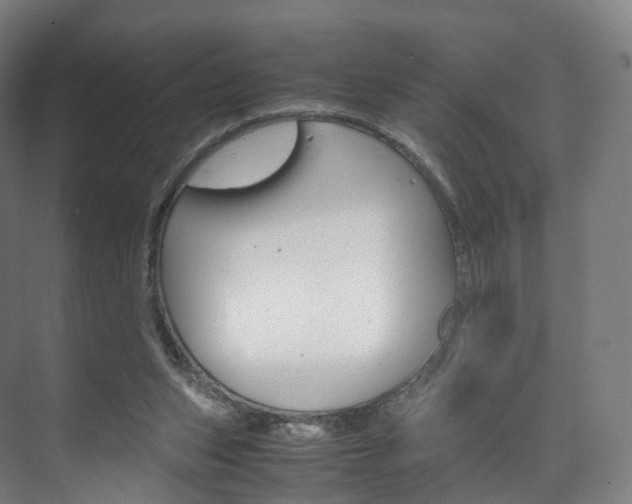 X0000072500159200607140945