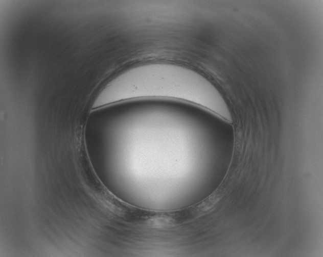 X0000072500168200607140945