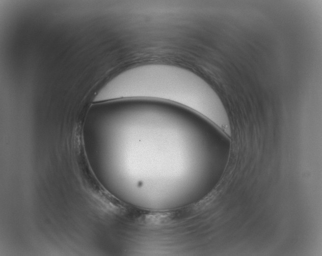 X0000072500172200607140945