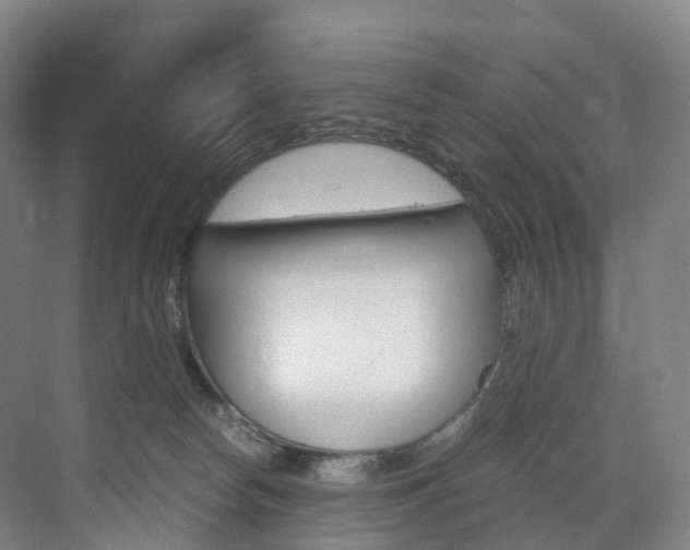 X0000072500178200607140945