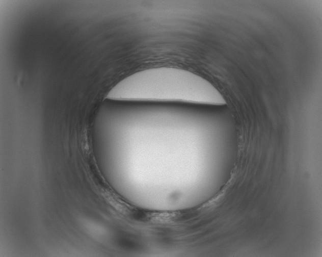 X0000072500182200607140945