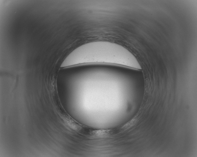 X0000072500184200607140946